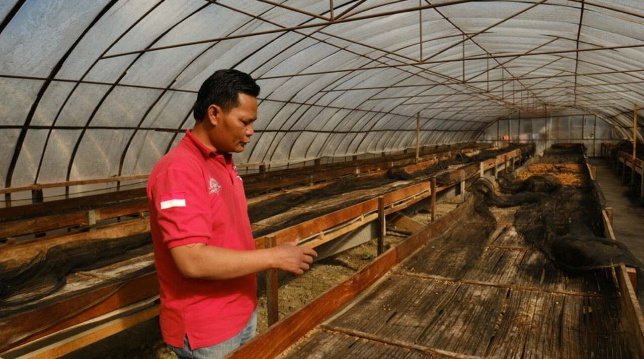 asman arianto (indonesië)