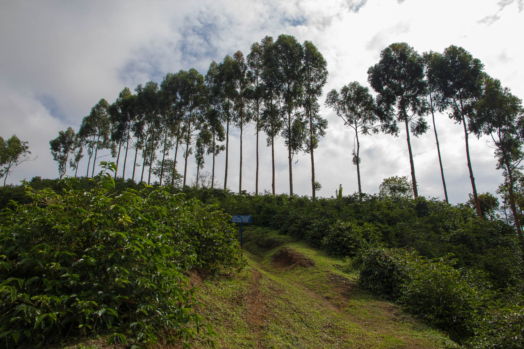 Cerro Azul