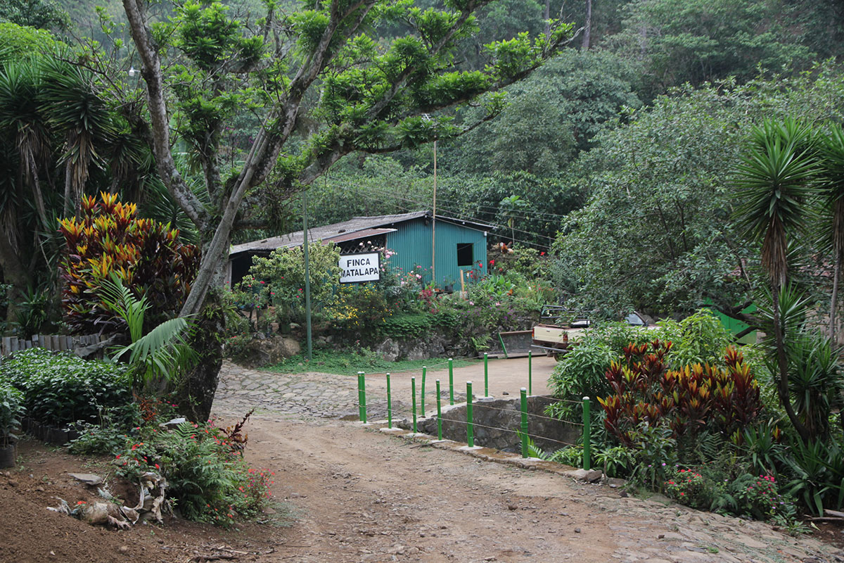 Finca Matalapa