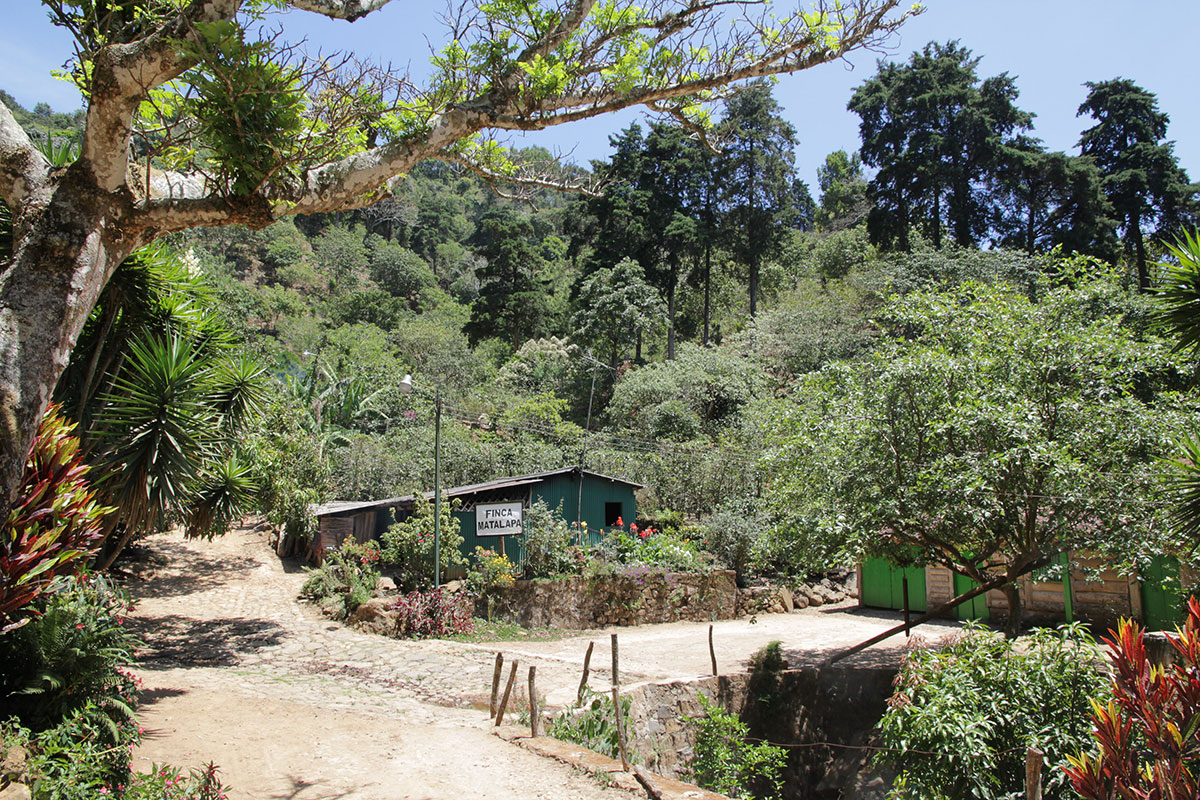Finca Matalapa