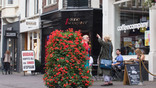 CC Noordeinde